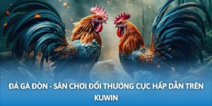 đá gà đòn