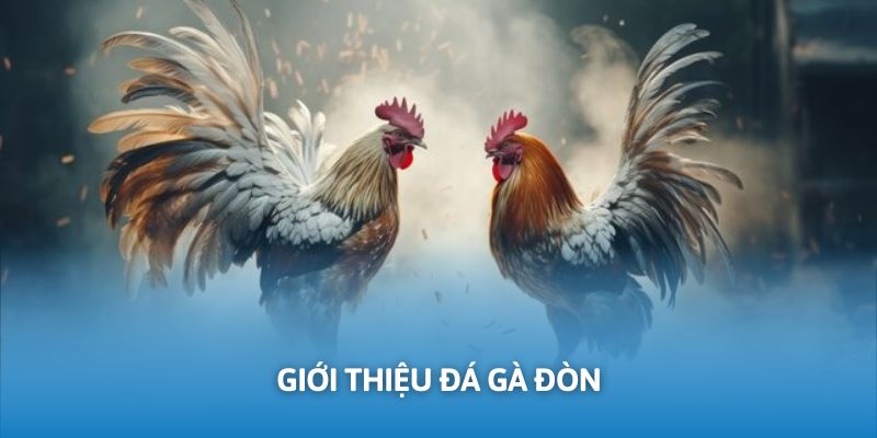 Tổng quan hình thức chọi kê bằng sức mạnh tự nhiên