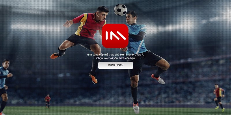 Đánh giá một vài thông tin sơ lược về IM Sports Kuwin